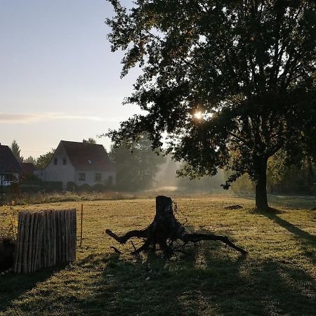 Ferienwohnung & Campingplatz Vor Dem Berg Heideblick Kültér fotó