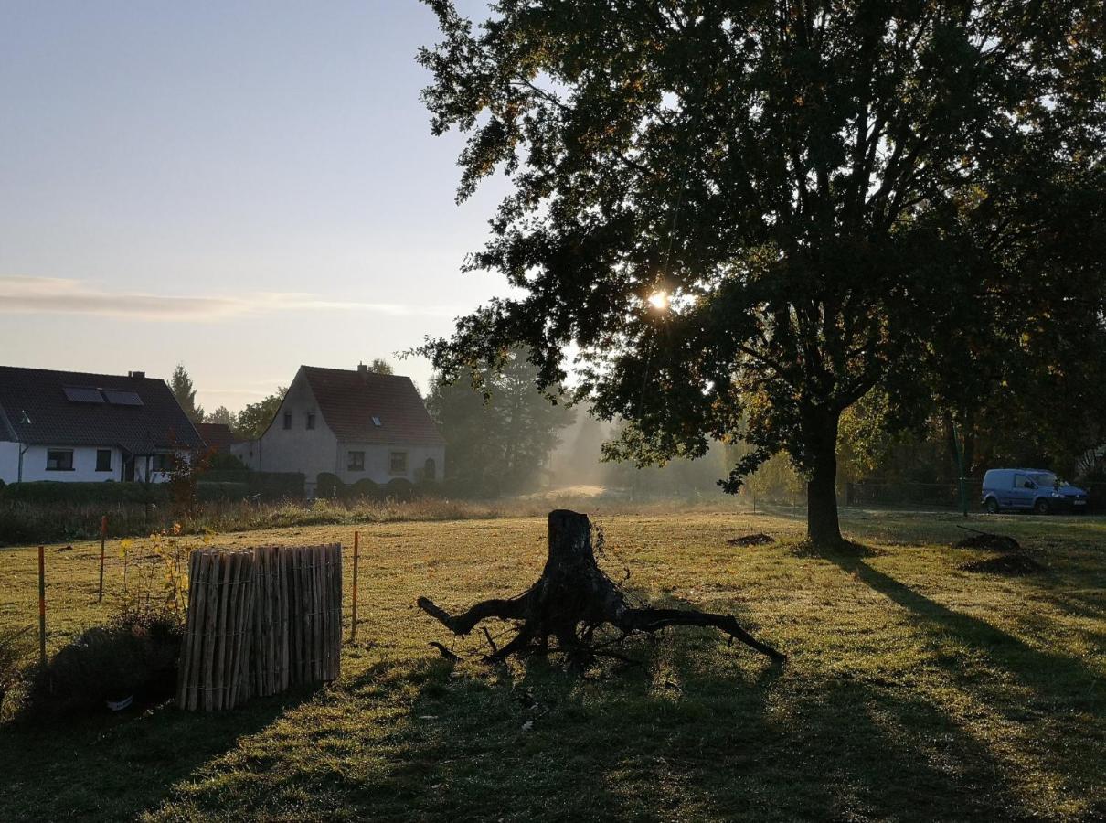 Ferienwohnung & Campingplatz Vor Dem Berg Heideblick Kültér fotó