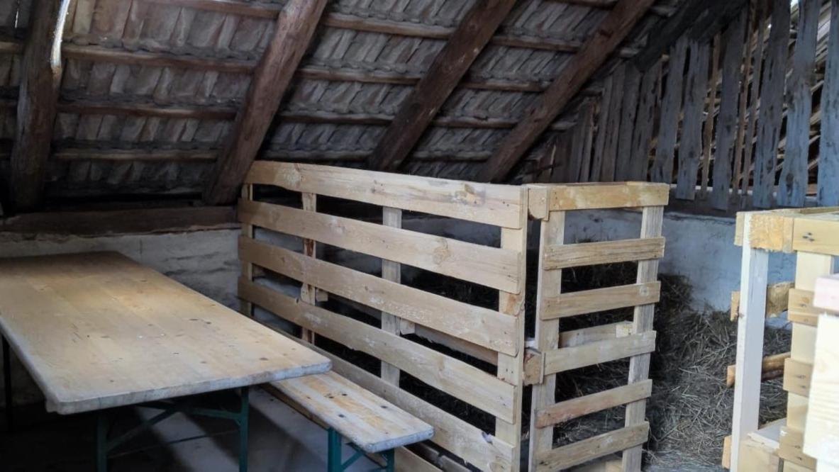 Ferienwohnung & Campingplatz Vor Dem Berg Heideblick Kültér fotó